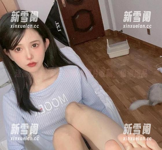 迷雾中的空姐：倦倦喵图片收藏，值得细品