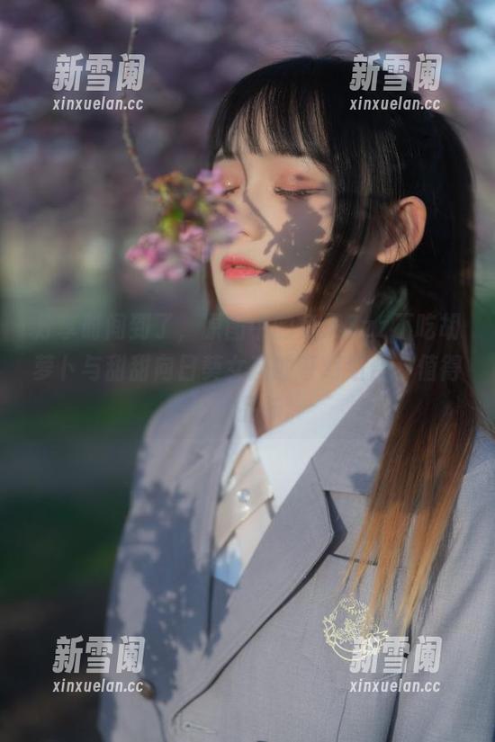 分享时间到了，原图中的兔子Zzz不吃胡萝卜与甜甜向日葵女孩的奇幻组合，值得细细品味。