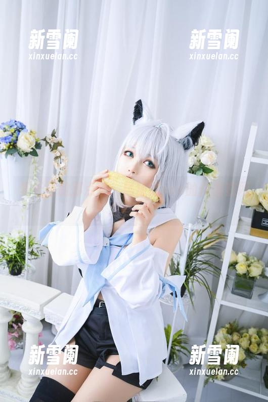 夏天里的那点事：黑猫猫ovo的作品在网盘等你！